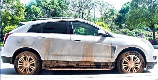 Paint  Before